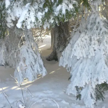 Relax * هومبرغ