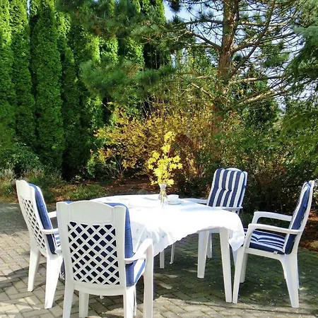 Relax * هومبرغ